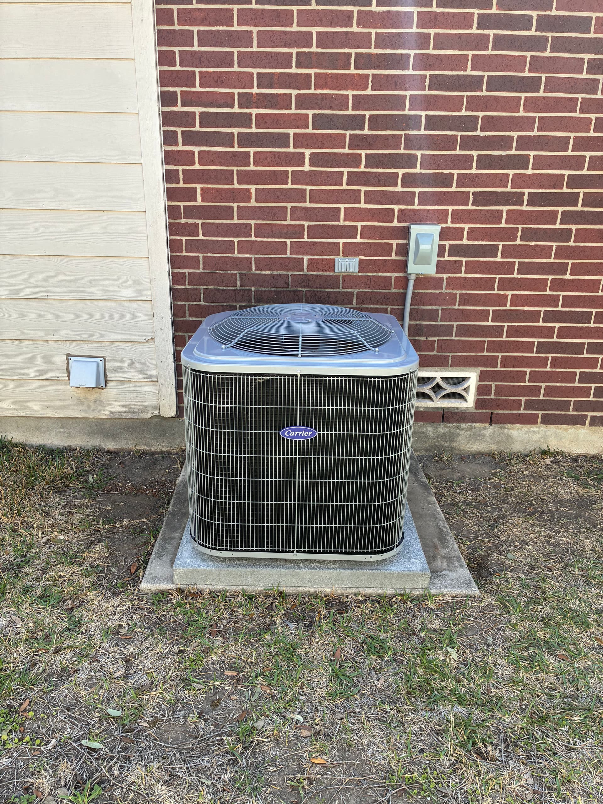 Carrier System Installation Success and a Spiny Surprise image