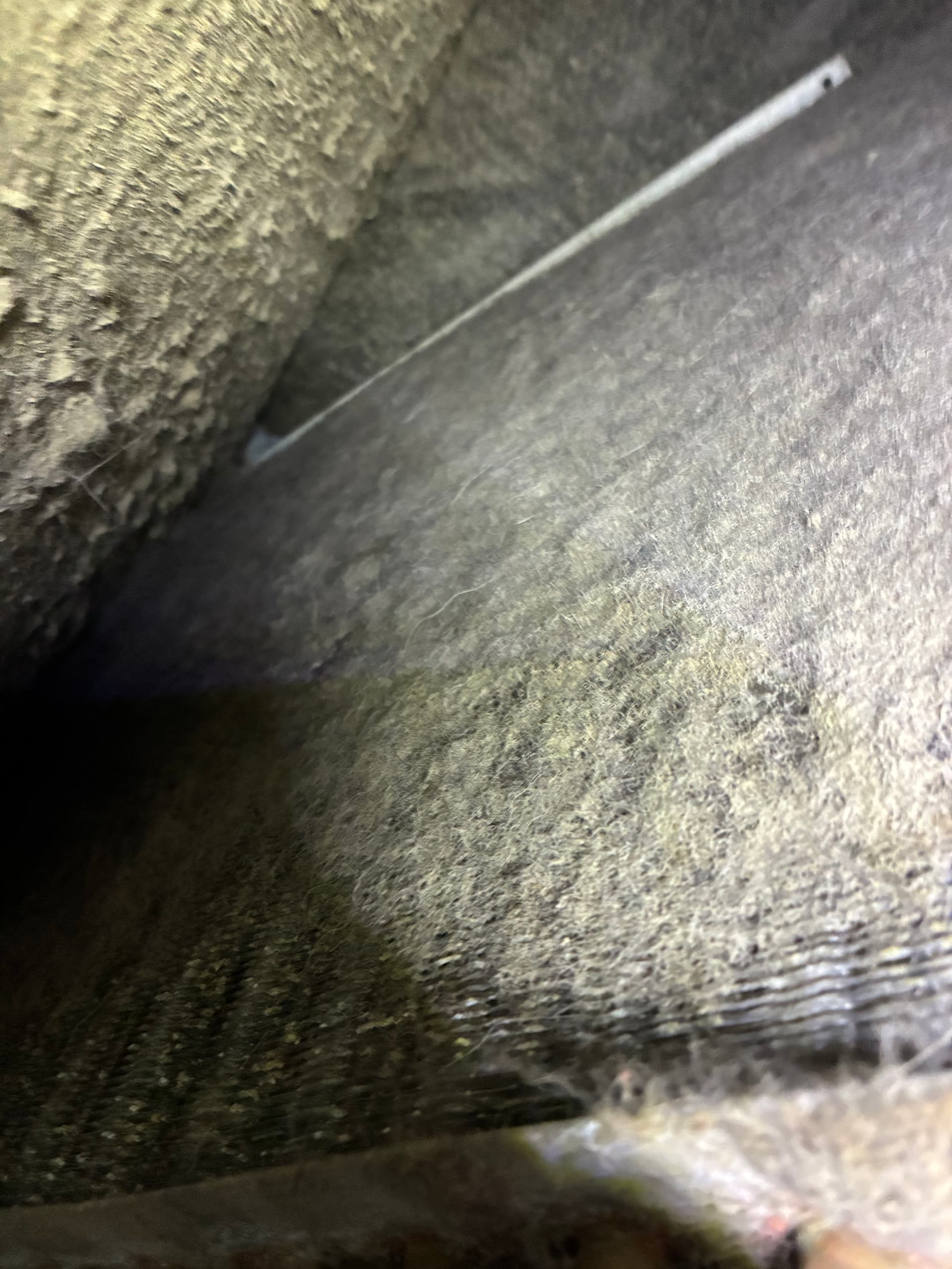 Gallery photos for A Dirty Coil Killed This Compressor - Here's What That Looks Like: Image #2