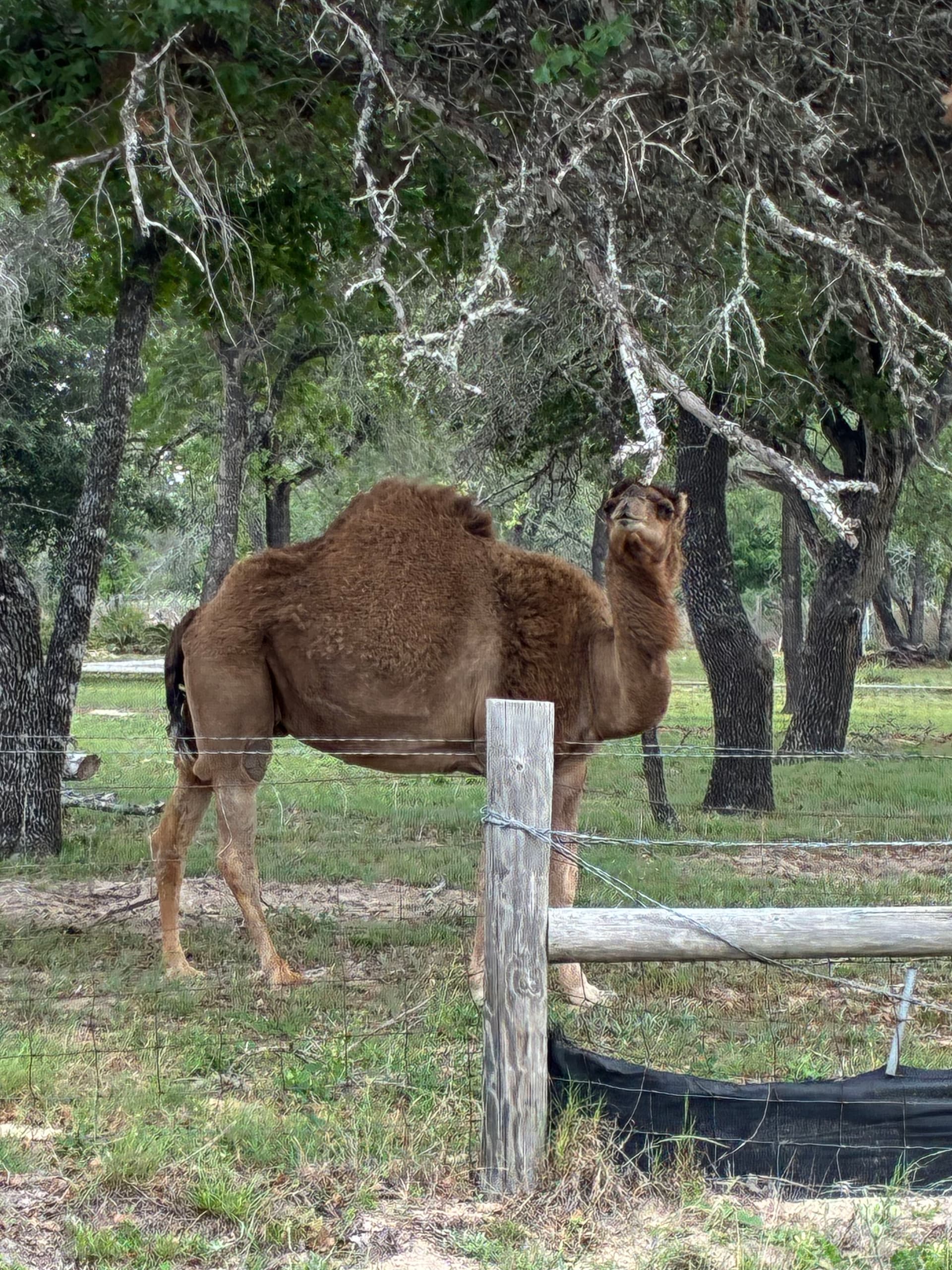 Texas Heat Waits for Nobody - Is Your AC Ready? image