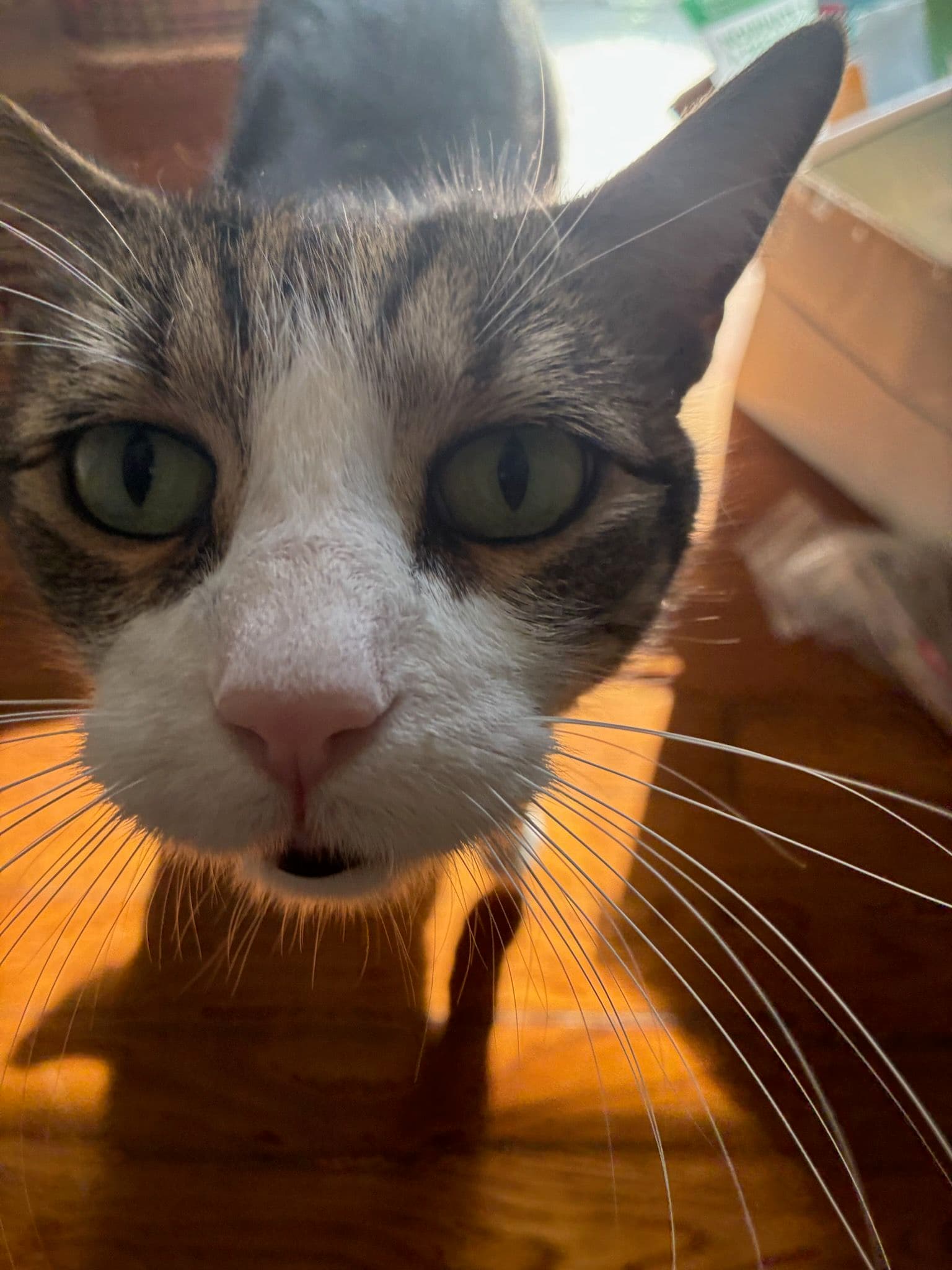 Curious Encounters on the Job with Affordable Air image